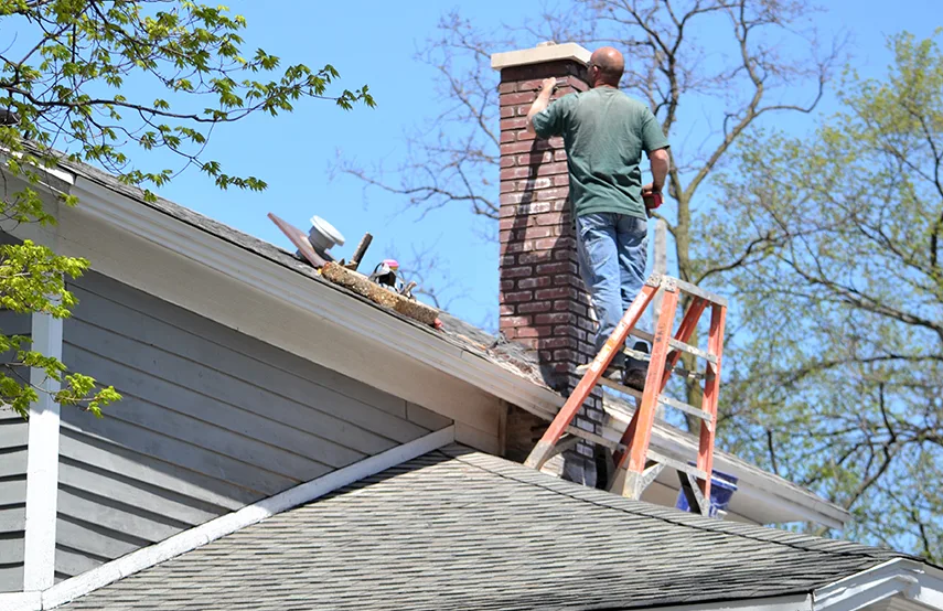 Chimney & Fireplace Inspections Services in Linton Hall, VA